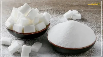 رسميًا من وزير التموين.. لا نية لرفع سعر سكر التموين والاكتفاء الذاتي ينهي الاستيراد لأول مرة 1